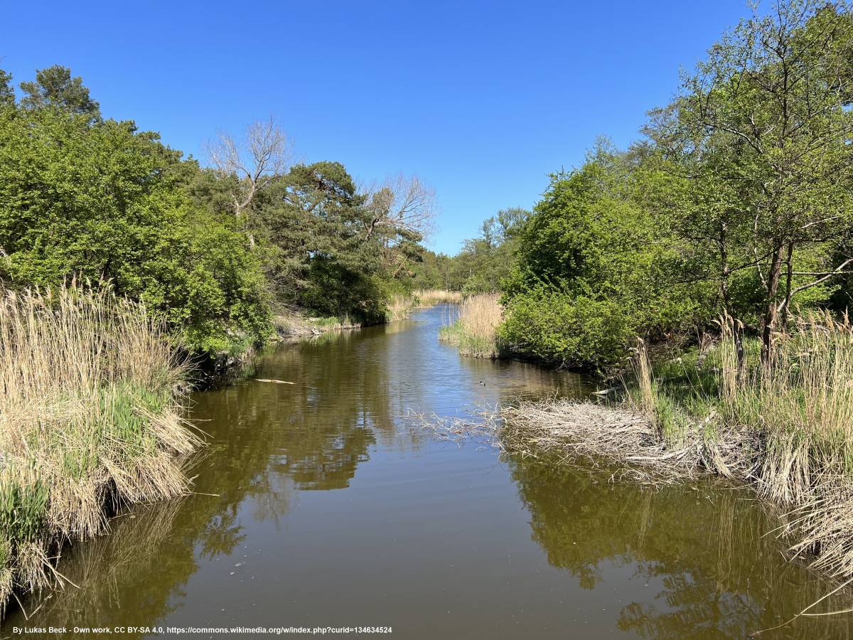 Kanał Liwia Łuża - kanal liwia luza 3