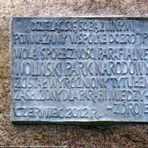 Sosna Piska w Międzyzdrojach - pomnik przy kosciele sw piotra 5