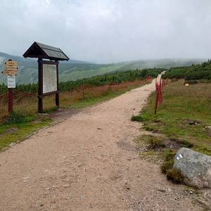 Równia pod Śnieżką - rownia pod sniezka 2024 13