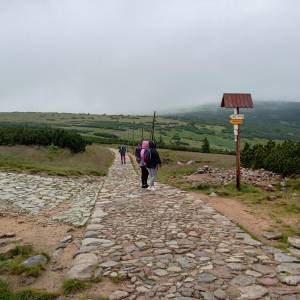 Równia pod Śnieżką - rownia pod sniezka 2024 9