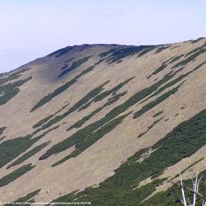 Czarny Grzbiet w Karkonoszach - czarny grzbiet w karkonoszach 3