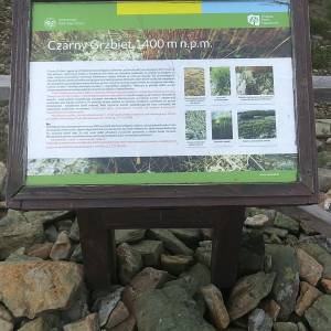 Czarny Grzbiet w Karkonoszach - czarny grzbiet w karkonoszach 5