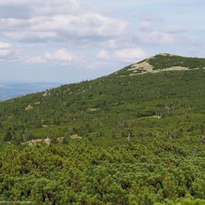 Śmielec (1424 m n.p.m.) - smielec 1424 m n p m 1