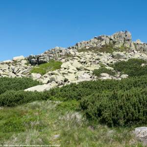 Łabski Szczyt - Violik (1471 m n.p.m.) - labski szczyt violik 1471 m n p m 1