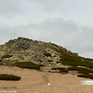 Łabski Szczyt - Violik (1471 m n.p.m.) - labski szczyt violik 1471 m n p m 4