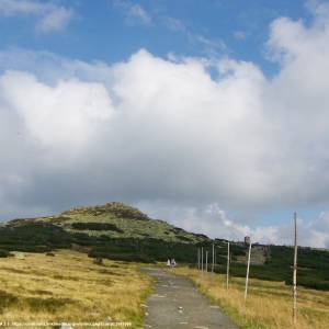 Łabski Szczyt - Violik (1471 m n.p.m.) - labski szczyt violik 1471 m n p m 6