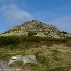 Łabski Szczyt - Violik (1471 m n.p.m.) - labski szczyt violik 1471 m n p m 7