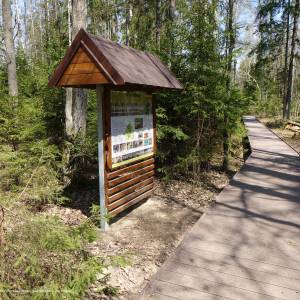 Ścieżka przyrodnicza Czerwone Bagno - rezerwat czerwone bagno bpn 8