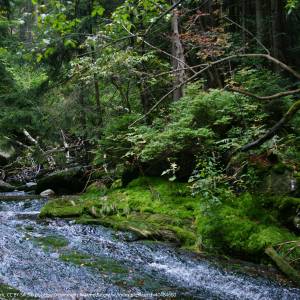 Wodospad Kamieńczyka - wodospad kamienczyka 3