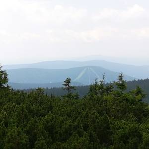 Szrenica (1362 m n.p.m.) - szrenica 1362 m n p m 10