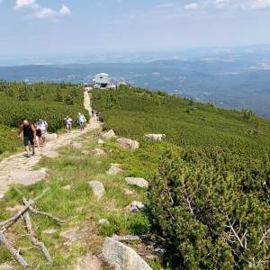 Szrenica (1362 m n.p.m.) - szrenica 1362 m n p m 14