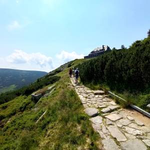 Szrenica (1362 m n.p.m.) - szrenica 1362 m n p m 16