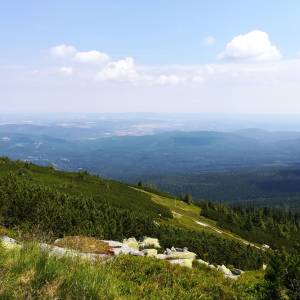 Szrenica (1362 m n.p.m.) - szrenica 1362 m n p m 2