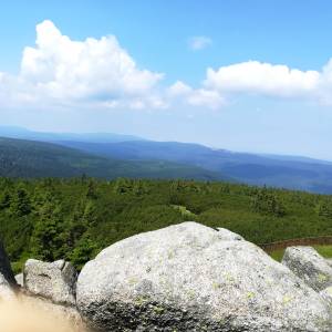 Szrenica (1362 m n.p.m.) - szrenica 1362 m n p m 3