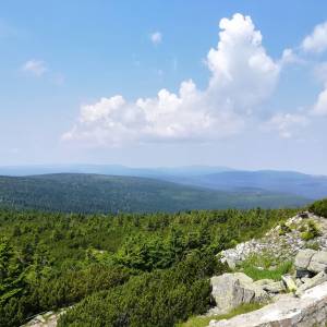 Szrenica (1362 m n.p.m.) - szrenica 1362 m n p m 6