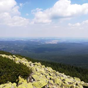 Szrenica (1362 m n.p.m.) - szrenica 1362 m n p m 9