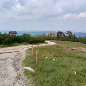 Szrenica (1362 m n.p.m.) - szrenica 2