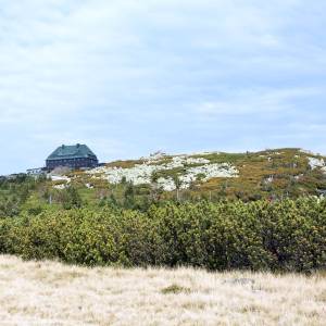 Szrenica (1362 m n.p.m.) - szrenica 3