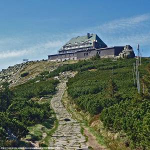 Szrenica (1362 m n.p.m.) - szrenica 5