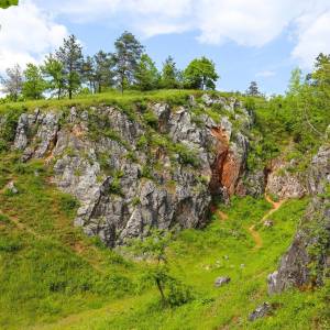 Rezerwat przyrody Góra Zelejowa - rezerwat przyrody gora zelejowa 1