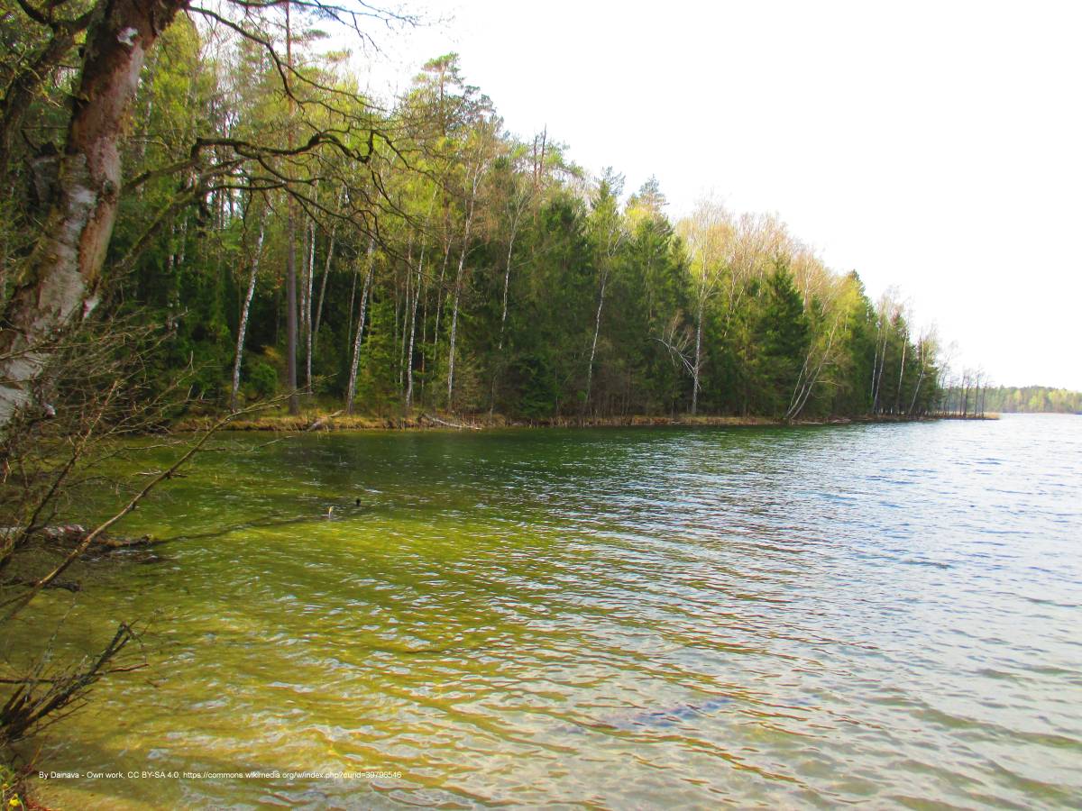 Rezerwat przyrody Jezioro Kalejty - lake kalejty