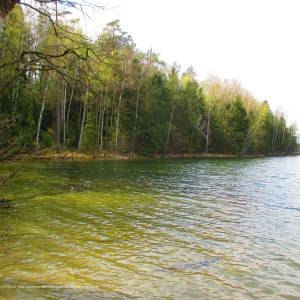 Rezerwat przyrody Jezioro Kalejty - lake kalejty