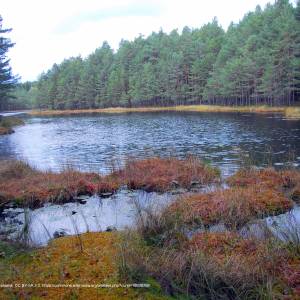 Rezerwat przyrody Jezioro Kalejty - slepe lake kalejty natural reserve