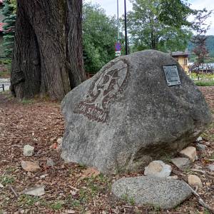 Lipa Sądowa w Karpaczu - lipa sadowa w karpaczu 10