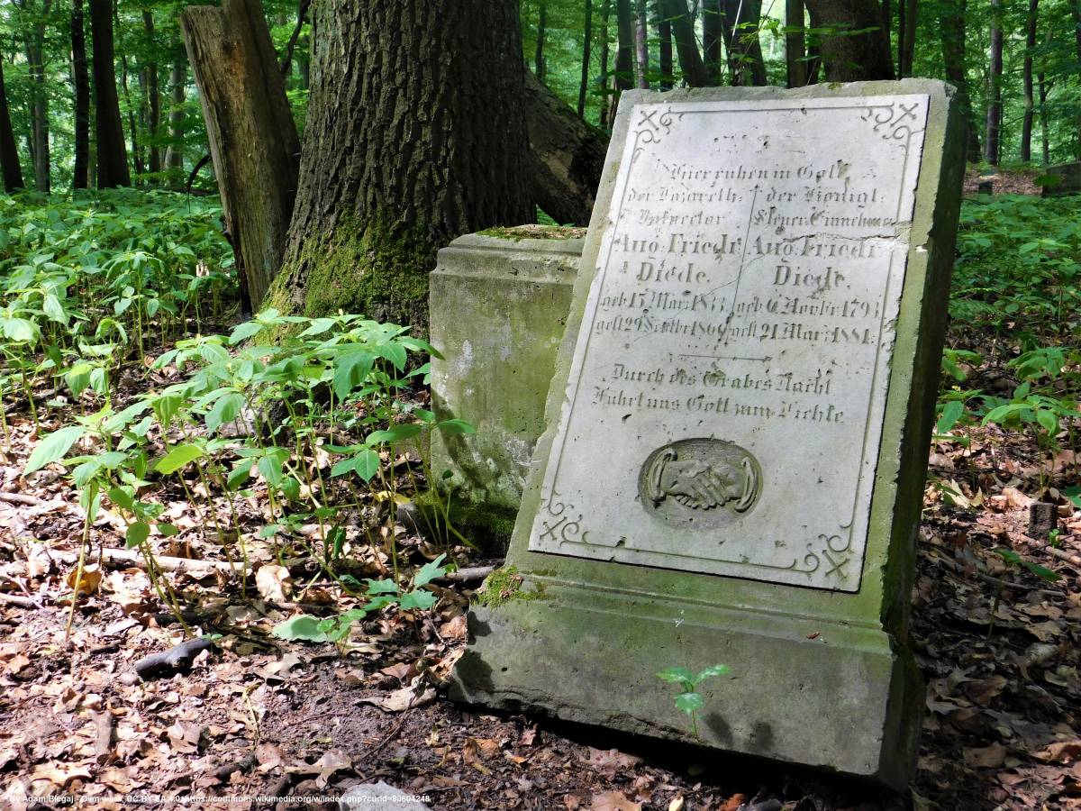 Sokola Góra w Łagowie - sokola gora w lagowie 1