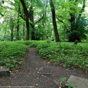 Sokola Góra w Łagowie - sokola gora w lagowie 12
