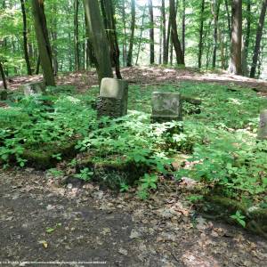 Sokola Góra w Łagowie - sokola gora w lagowie 2