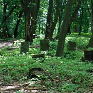 Sokola Góra w Łagowie - sokola gora w lagowie 3