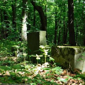 Sokola Góra w Łagowie - sokola gora w lagowie 8