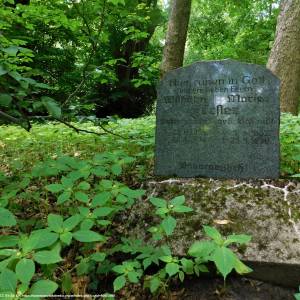 Sokola Góra w Łagowie - sokola gora w lagowie 9