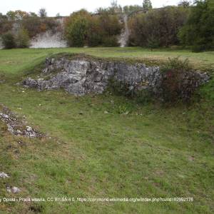 Rezerwat Przyrody Nieożywionej "Bonarka" - rezerwat przyrody bonarka dk47