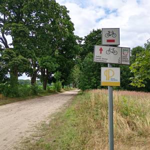 Aleja Klonów w Złotym Potoku - aleja klonow w zlotym potoku 5