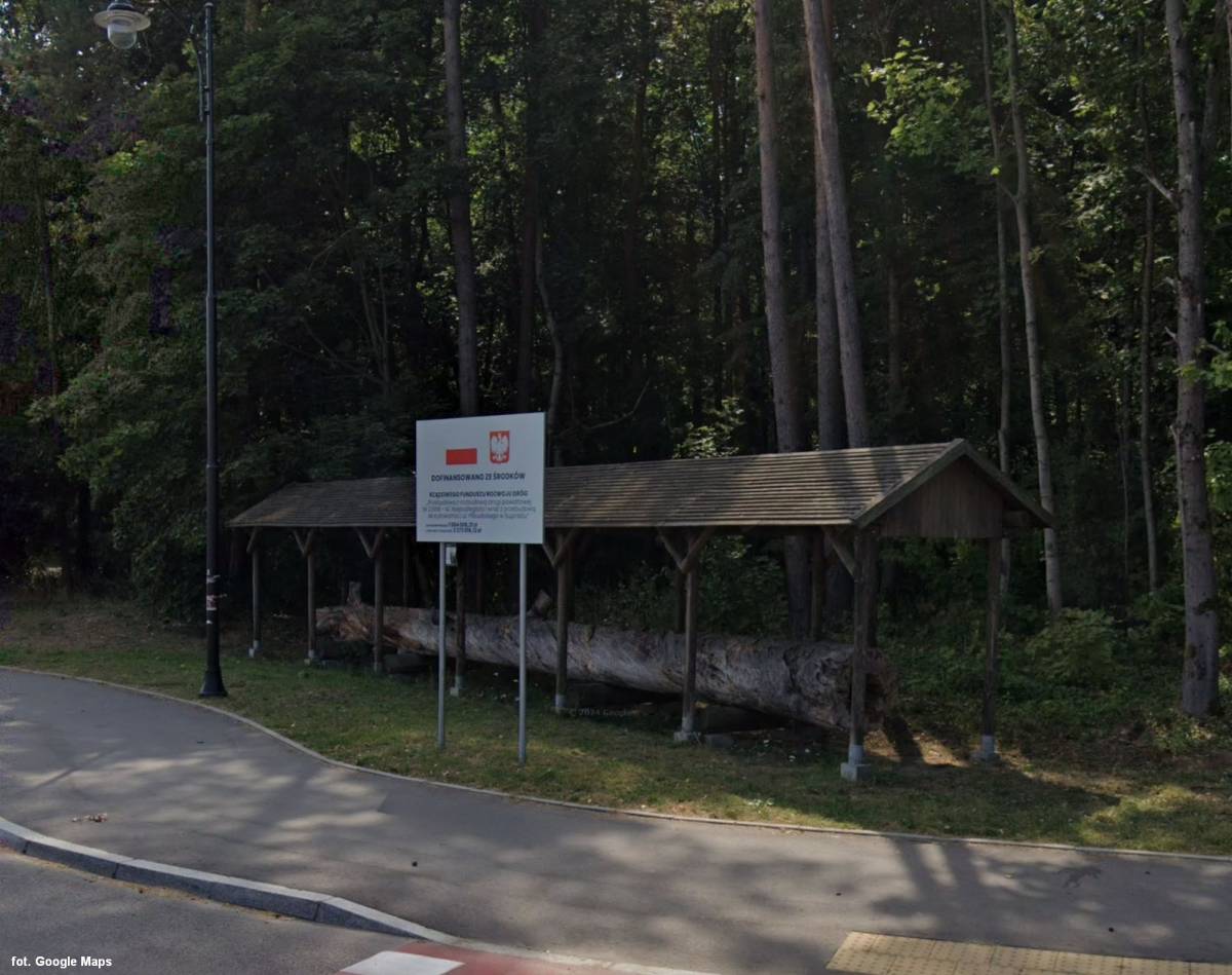 Święta Sosna w Supraślu - swieta sosna w supraslu