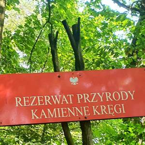 Rezerwat przyrody Kręgi Kamienne - rezerwat przyrody kregi kamienne 1