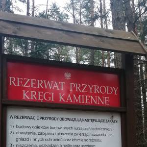 Rezerwat przyrody Kręgi Kamienne - rezerwat przyrody kregi kamienne 4