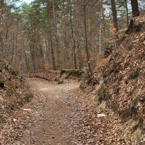 Rezerwat przyrody Kręgi Kamienne - rezerwat przyrody kregi kamienne 6