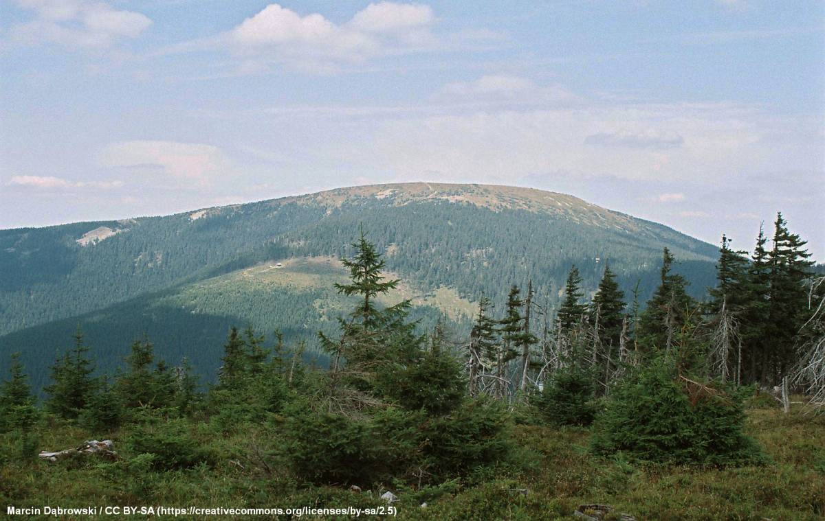 Rezerwat przyrody Śnieżnik Kłodzki - snieznik klodzki mountain southern side