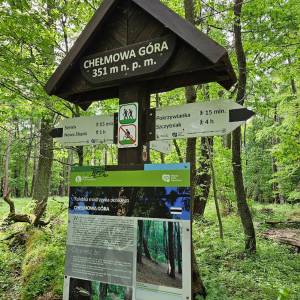 Góra Chełmowa (351 m n.p.m.) - szlak czarny swietokrzyskiego parku narodowego2