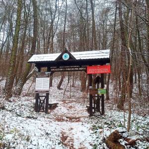 Góra Chełmowa (351 m n.p.m.) - szlak czarny swietokrzyskiego parku narodowego4