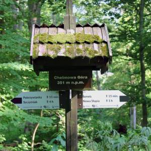 Góra Chełmowa (351 m n.p.m.) - szlak czarny swietokrzyskiego parku narodowego6