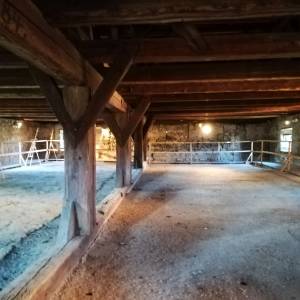 Wieża książęca w Siedlęcinie - wieza ksiazeca w siedlecinie 19