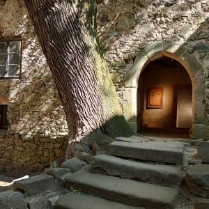 Wieża książęca w Siedlęcinie - wieza ksiazeca w siedlecinie 32