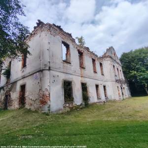 Pałac we Włodowicach - ruiny palacu we wlodowicach 8