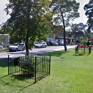 Świerk Benedykta XVI w Pustkowie - swierk benedykta xvi w pustkowie