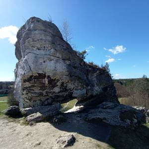 Brama Laseckich w Bobolicach - brama laseckich w bobolicach 10