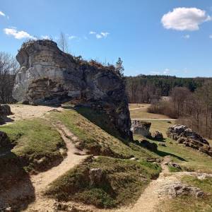 Brama Laseckich w Bobolicach - brama laseckich w bobolicach 16